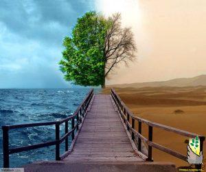 ۲nz8hv8gop3a44z28mwd