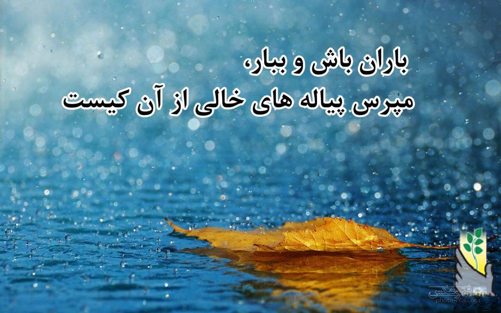 rain_yellow_leave