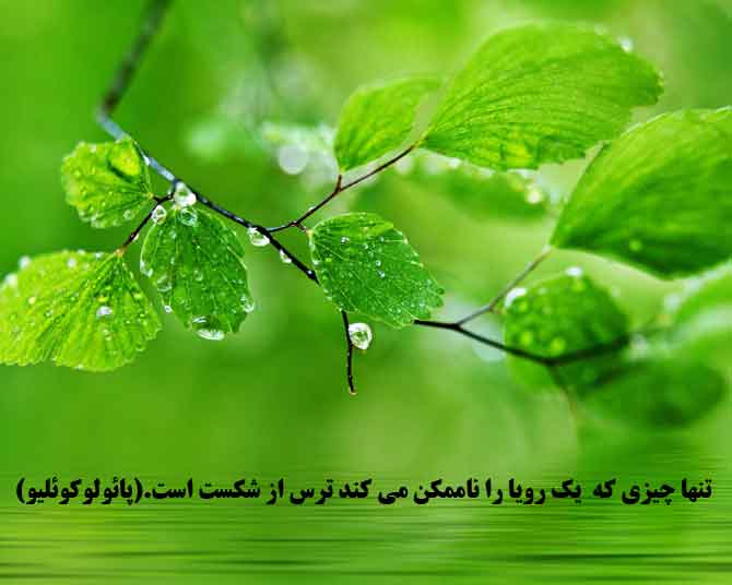 green_world_nature